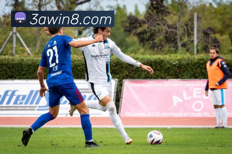 3a娱乐城官网平台生态图